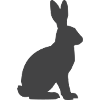 Shadow Hare Silhouette