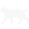 Lynx Silhouette White