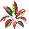 Bunte Tropenpflanze | Botanisches Kunstmotiv