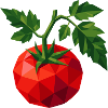 Geometric Tomato | Polygon Vegetable Motif