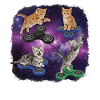 Chat avec un fidget spinner