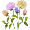 Blumen