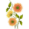 Fleur