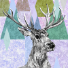Cerf