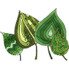 leaves
