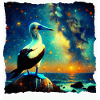 Blue-footed boobies Starry Night