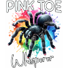 Pinktoe Rosafuss Tarantula Whisperer