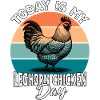 Leghorn Chickens Leghorn Chicken