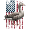 Pilgrim Goose US Pilgrim Gans