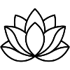 Lotusblume