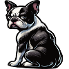 Boston Terrier Boston Terrier Owner Bostie