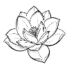 Magnolia Flower Outline