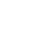 White Mandala Turtle