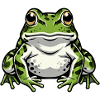 Funny Frog Toad Gift