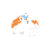 Polo Where style meets endurance