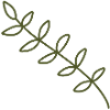Diagonal Olive Vine