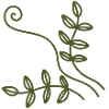 Olive Vine Line Art