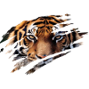 Tiger Geschenkidee Nauturschutz