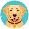 Labrador (comic portrait)