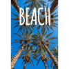 Date Palm Trees Beach
