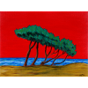 Solitary pines