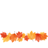 Herbstmensch – Bunte Blätter Statement