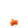 Herbstmensch – Schlichtes Statement
