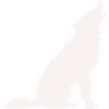 wolf-