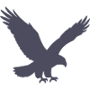 Wing Pride Eagle Silhouette