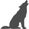Wolfs Silhouette Mondschein