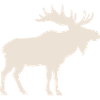 Élan
