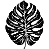 Monstera Leaf
