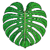 Monstera Leaf Heart Pattern
