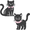 Duo félin