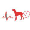 Weimaraner
