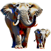Éléphants
