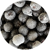 Frozen Chokeberry Circle Graphic