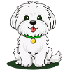 Little Maltese Puppy (comic)