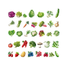Juni Gemüsekalender Collage