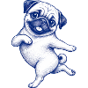 Cute pug dances delighted with lady