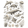Meerestiere Wal Delfin Oktopus Ozean Design