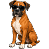 Cool Boxer Dog with Sunglasses Summer