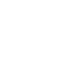 Dino Birthday 10 Years T Rex