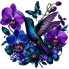 Kolibri im Orchideenreich