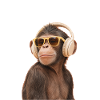 Cool Affe mit Kopfhörern