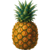 Aquarell-Ananas: Tropische Fruchtkunst