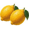 Lemon Brush Art