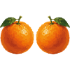 Aquarelle des Deux Oranges