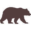 Silhouette d’ours brun