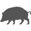 Wild boar silhouette in tribal style